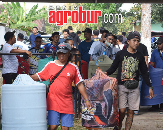 Laga M3 Subdenpom BC Jember