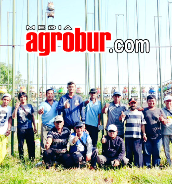 Ladinil Team Tiger Sepanjang Sidoarjo