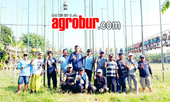 Ladinil Team Tiger Sepanjang Sidoarjo