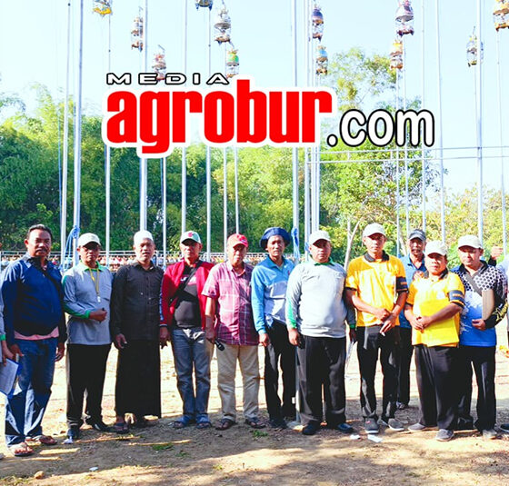 Liga Hanging Bangkalan