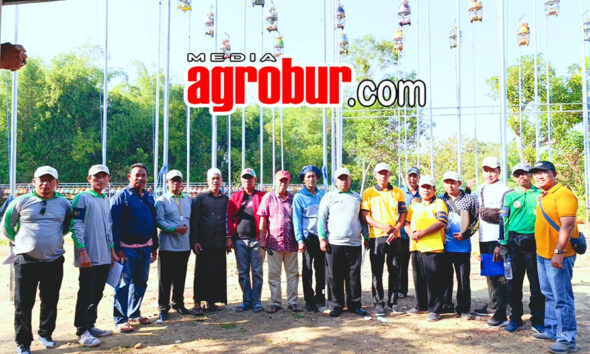 Liga Hanging Bangkalan