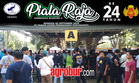 Daftar Juara Piala Raja Yogya