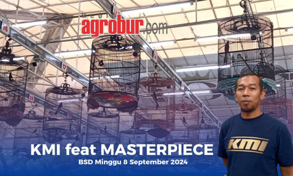 KMI Feat Masterpiece Arena