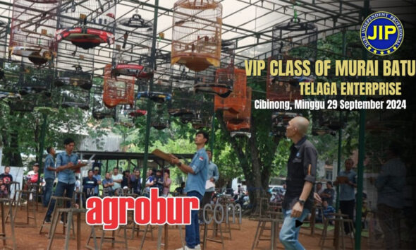 VIP Class of Murai Batu Bogor