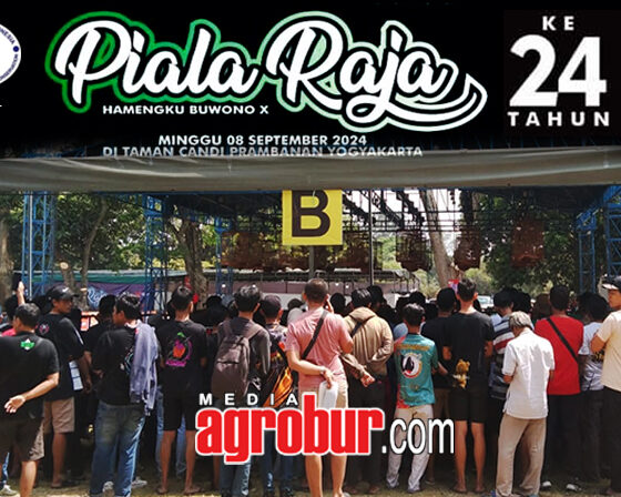 Daftar Juara Piala Raja Yogya