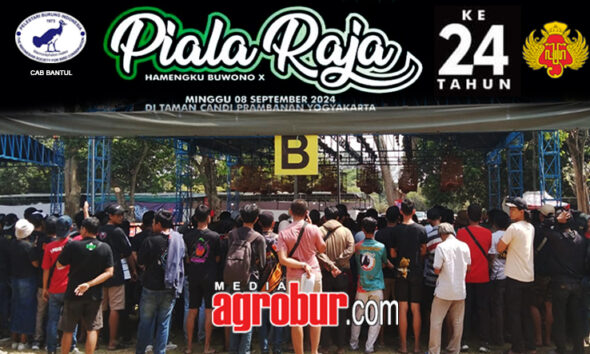 Daftar Juara Piala Raja Yogya