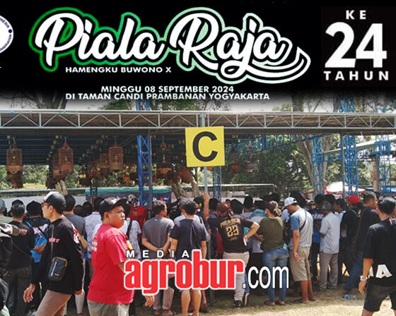 Daftar Juara Piala Raja Yogya