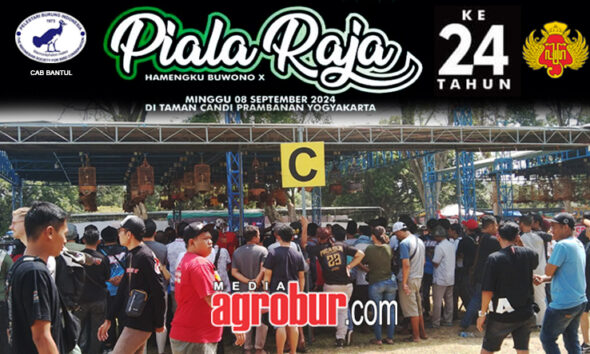 Daftar Juara Piala Raja Yogya
