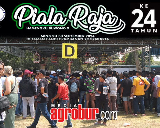Daftar Juara Piala Raja Yogya