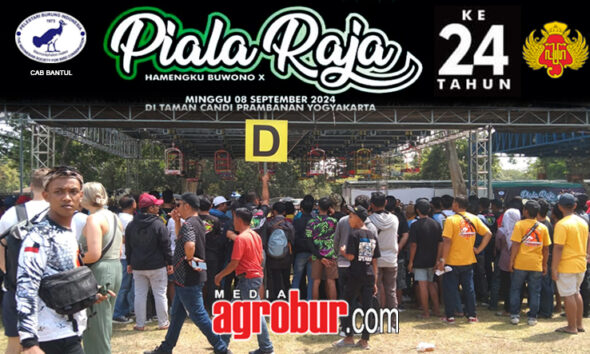 Daftar Juara Piala Raja Yogya