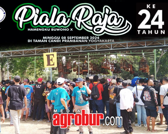 Daftar Juara Piala Raja Yogya