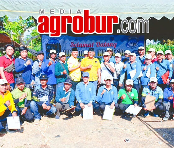 Liga Perkutut Pamekasan II #4