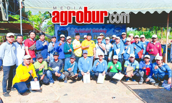 Liga Perkutut Pamekasan II #4