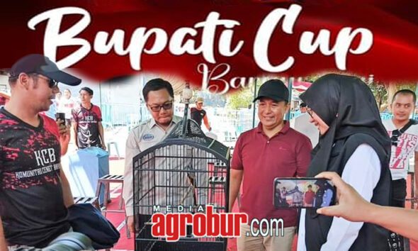 Bupati Cup Banyuwangi
