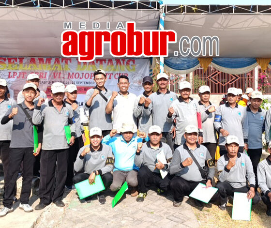 Mojopahit Cup Mojokerto