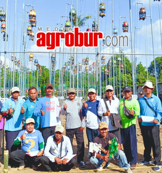 Piala Pangcam Blimbingsari Banyuwangi