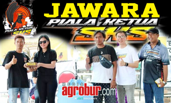 Piala Ketua SKS Lumajang