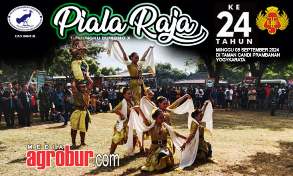 Piala Raja 24th Yogyakarta