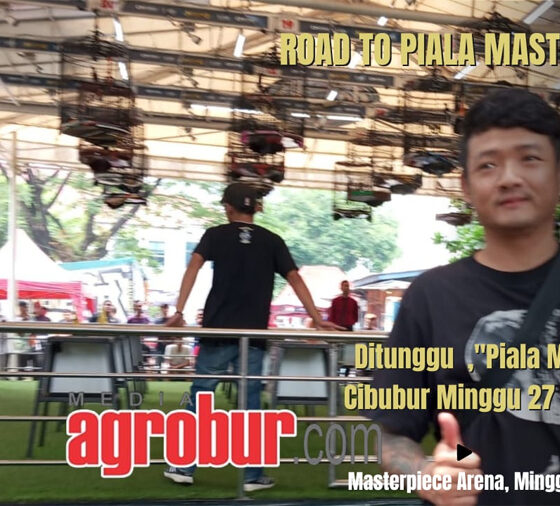 Road To Piala Masterpiece 2