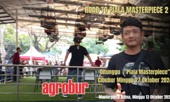 Road To Piala Masterpiece 2