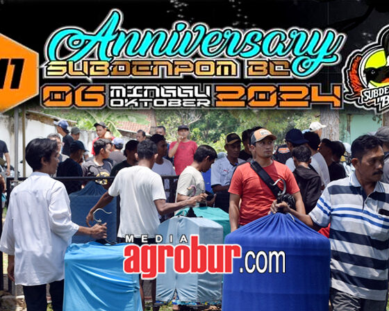 M1 Anniversary Subdenpom BC Jember