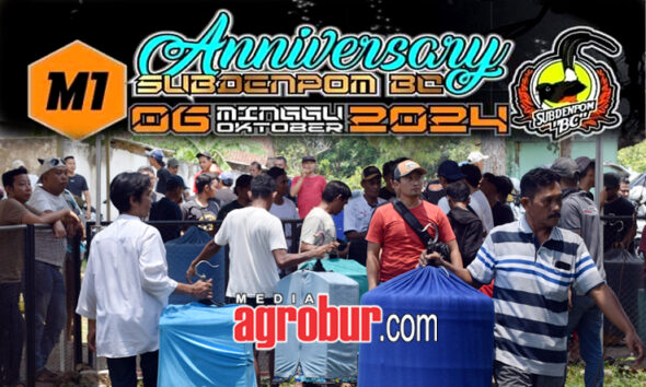 M1 Anniversary Subdenpom BC Jember