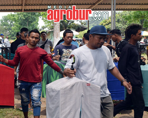 Laga M3 Subdenpom BC Jember