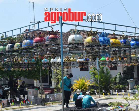 Liga Hanging Pro Pemula Jember