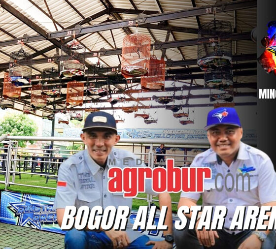 Bogor All Star Arena