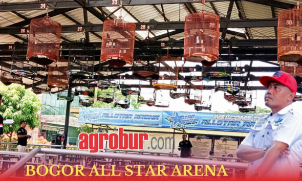 Bogor All Star Arena