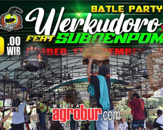 M3 Batle Party Werkudoro SF feat Subdenpom BC Jember