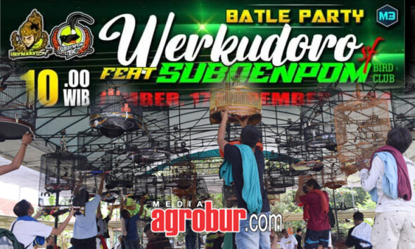 M3 Batle Party Werkudoro SF feat Subdenpom BC Jember