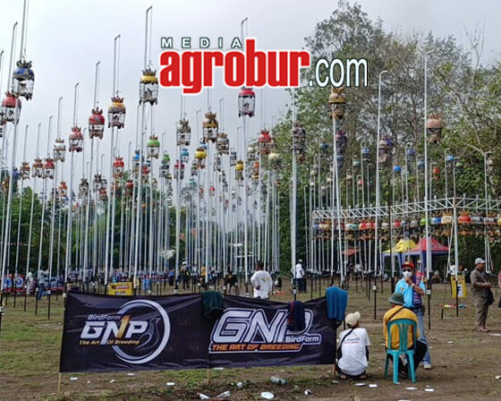 GNP Cup 1 Tulungagung