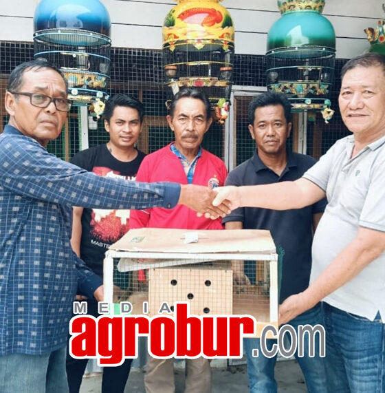OTE BF Jombang