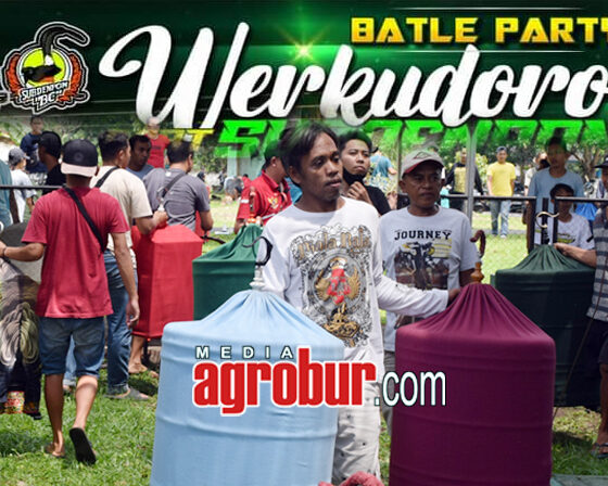 M3 Batle Party Werkudoro SF feat Subdenpom BC Jember