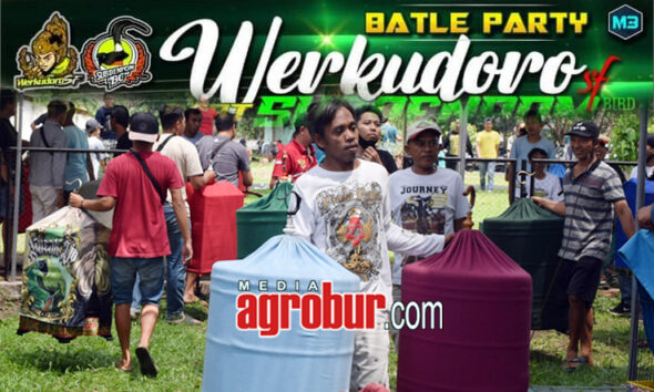 M3 Batle Party Werkudoro SF feat Subdenpom BC Jember