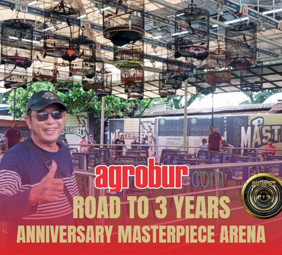 Masterpiece Arena