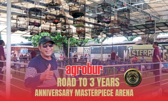 Masterpiece Arena