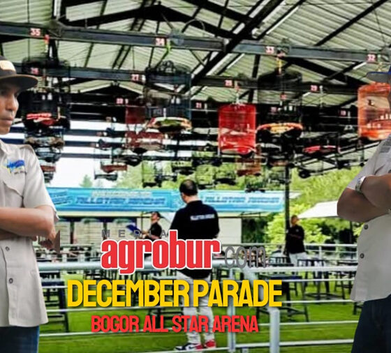 Bogor All Star Arena