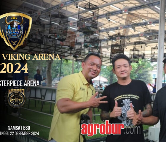 Grand Viking Arena