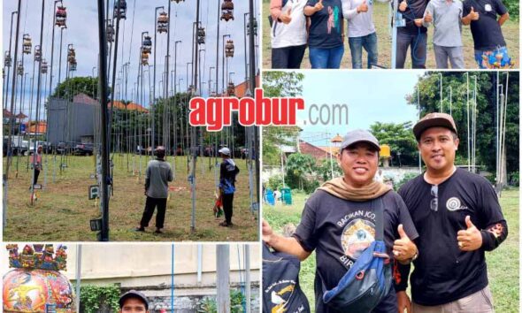perkuut