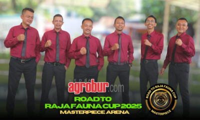 Road to Raja Fauna cup