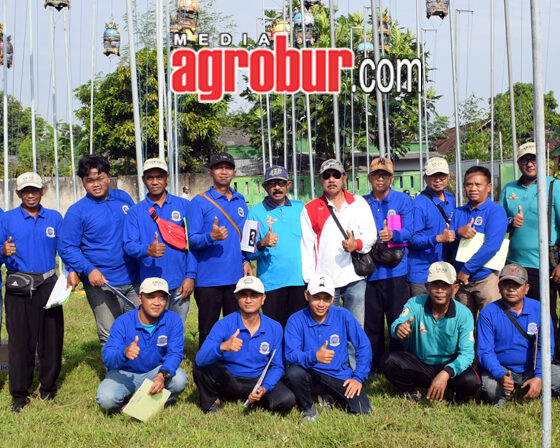 Pra Liga Perkutut Pengda Jember