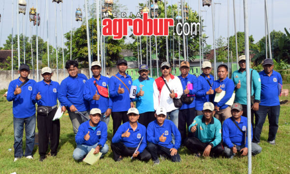Pra Liga Perkutut Pengda Jember