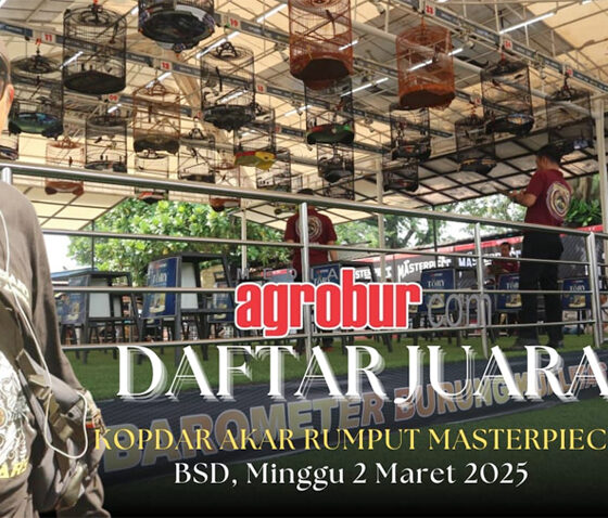 Kopdar Akar Rumput Masterpiece