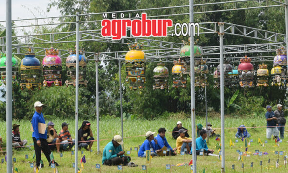 Ramadhan Cup 2025