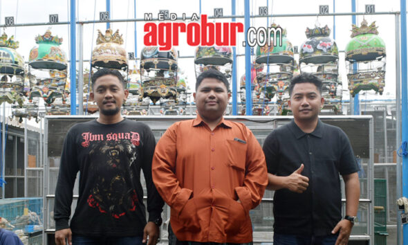JBM BF Malang