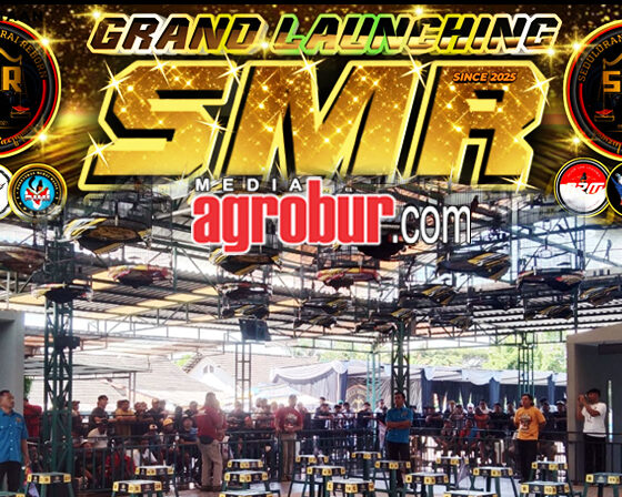 Grand Launching SMR