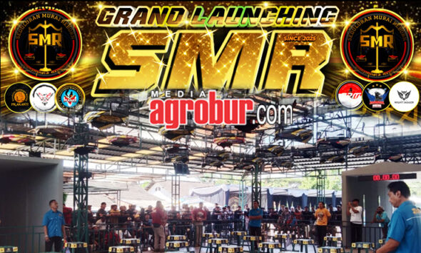 Grand Launching SMR