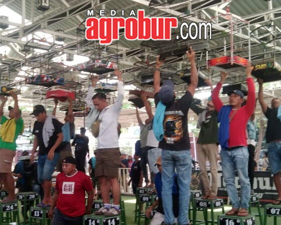 Kopdar feat Juri SGS Gresik